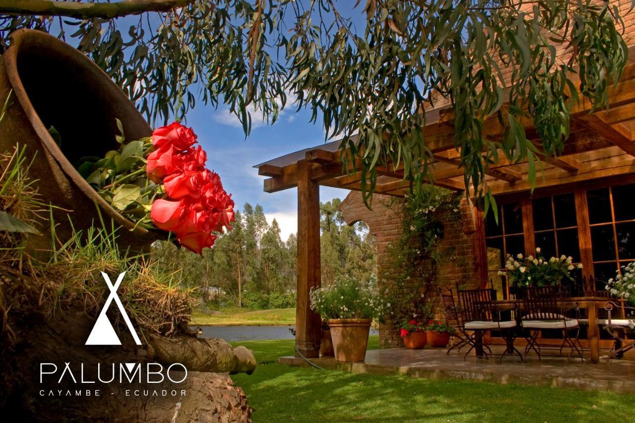 Palumbo Glamping & Villas 卡扬贝 外观 照片