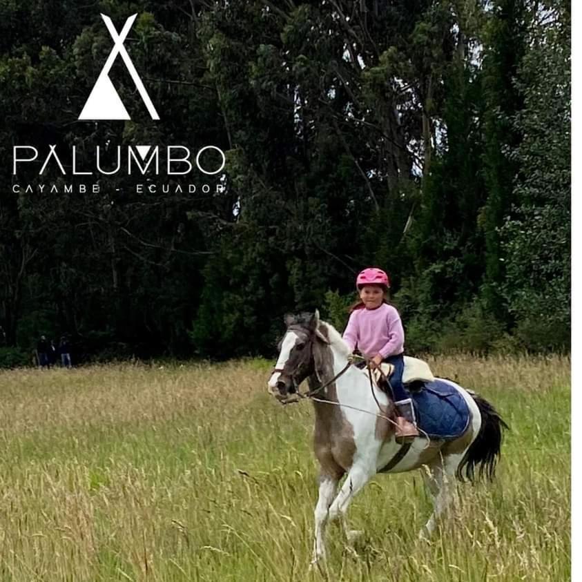 Palumbo Glamping & Villas 卡扬贝 外观 照片